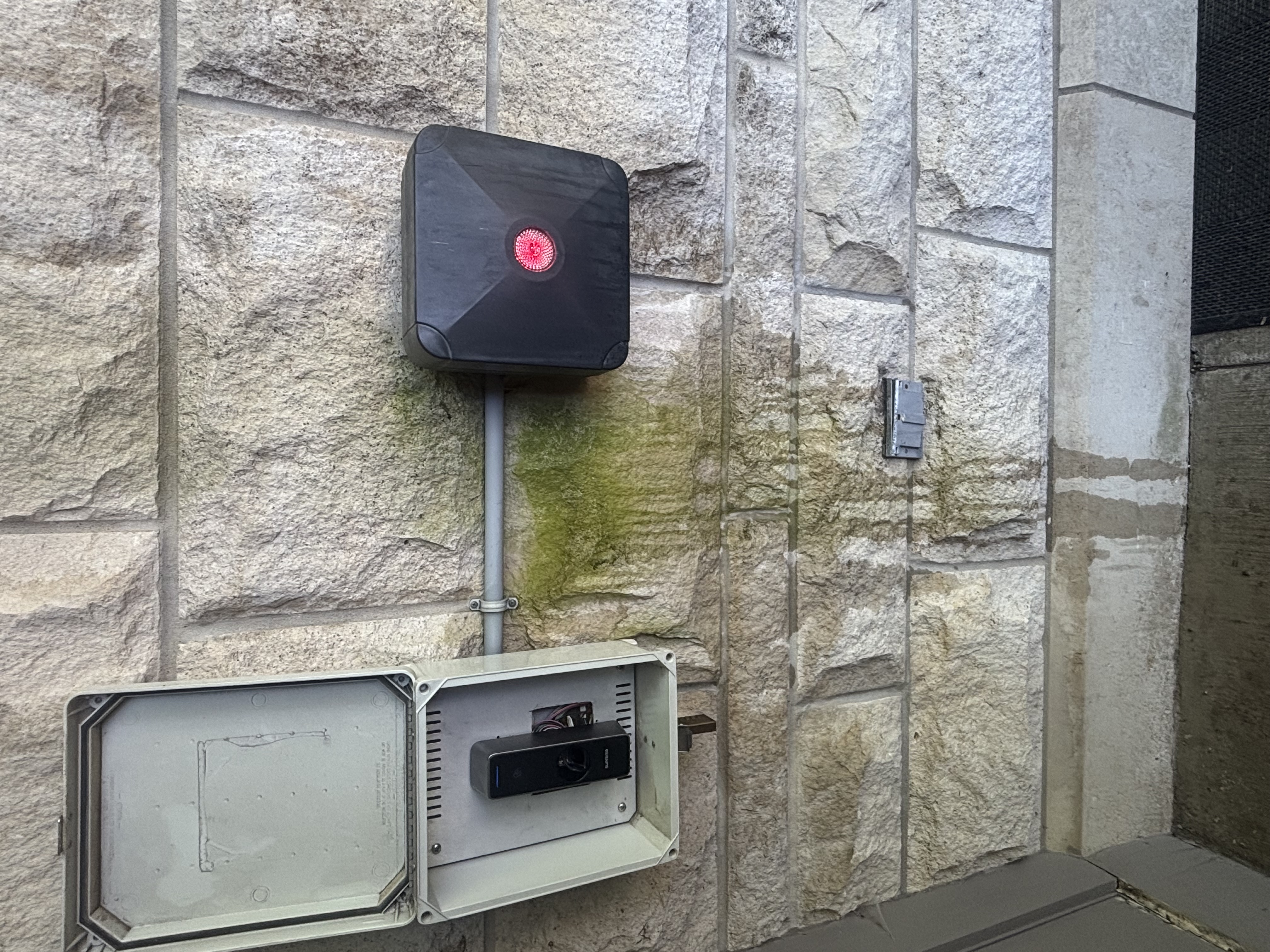 Dirty driveway before washing